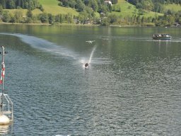 Lunz 2011