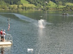 Lunz 2011