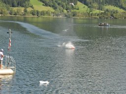 Lunz 2011