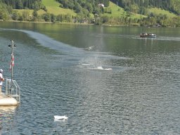 Lunz 2011