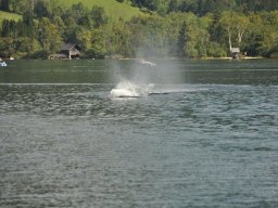 Lunz 2011