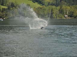 Lunz 2011