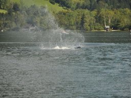 Lunz 2011