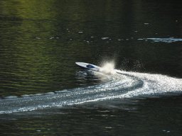 Lunz 2011