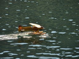Lunz 2011