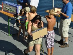 Lunz 2011