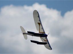 Lunz 2011
