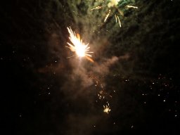 Lunz 2011