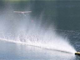 Lunz 2011