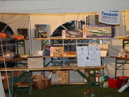 Lunz 2011