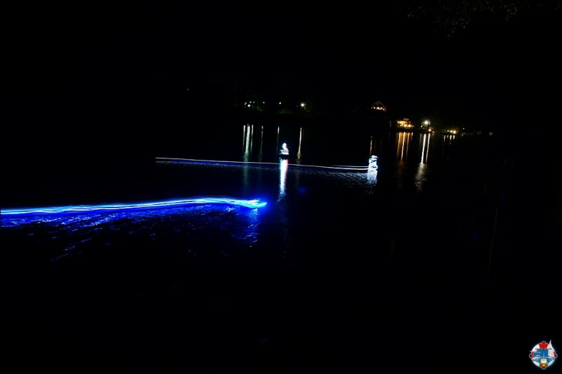 Lunz 2013