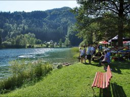 Lunz 2013