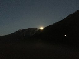 Lunz 2015