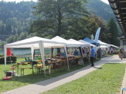 Lunz 2019
