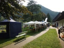 Lunz 2019