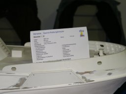 Messe Sinsheim 2009