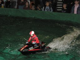 Messe Wien 2009
