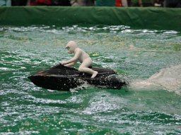 Messe Wien 2011