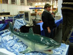 Messe Wien 2011