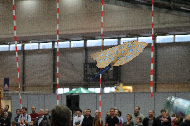 Messe Wien 2012