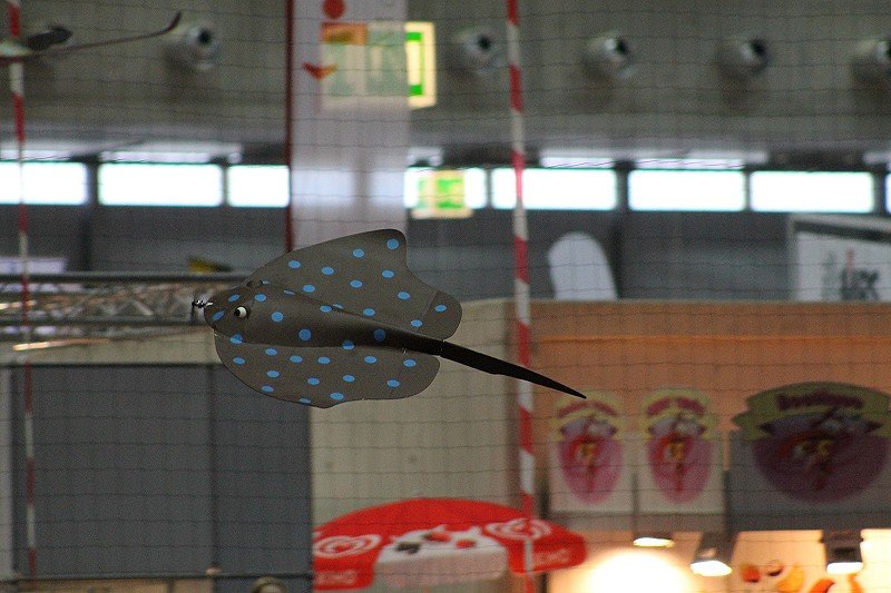 Messe Wien 2012