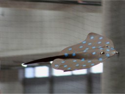 Messe Wien 2012