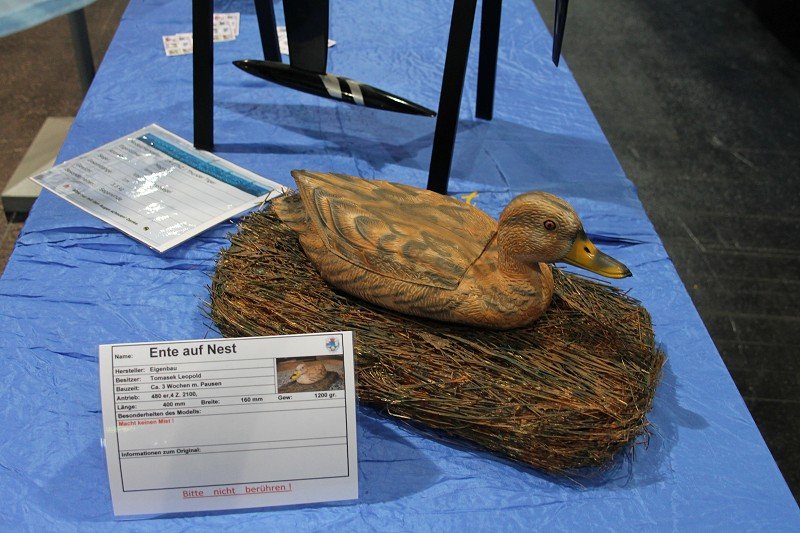 Messe Wien 2013