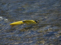 Ebensee_2007_021