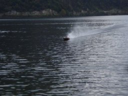 Ebensee_2010_027