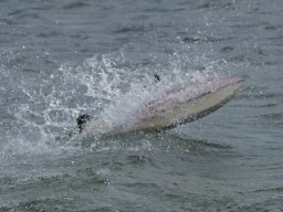 Eröffnung_Arbeiterstrandbad_074