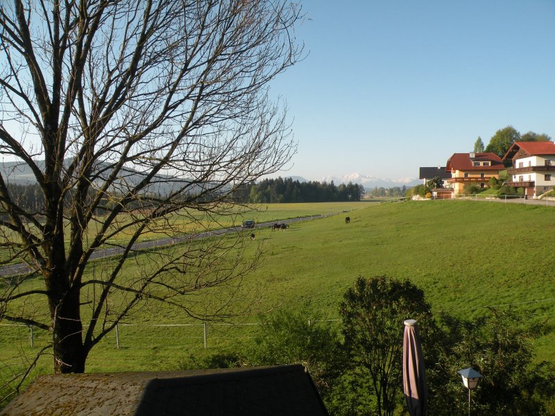 Mattsee_2016_171