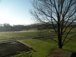 Mattsee_2016_137