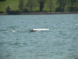 Mattsee_2016_243