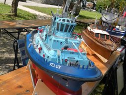 Mattsee_2016_049