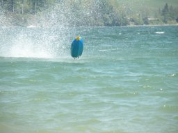 Mattsee_2016_096