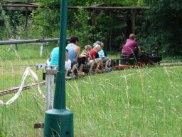 Strasshof_2010_039
