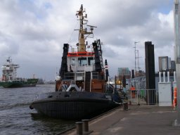 Hafen Hamburg 2008