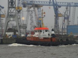 Hafen Hamburg 2008