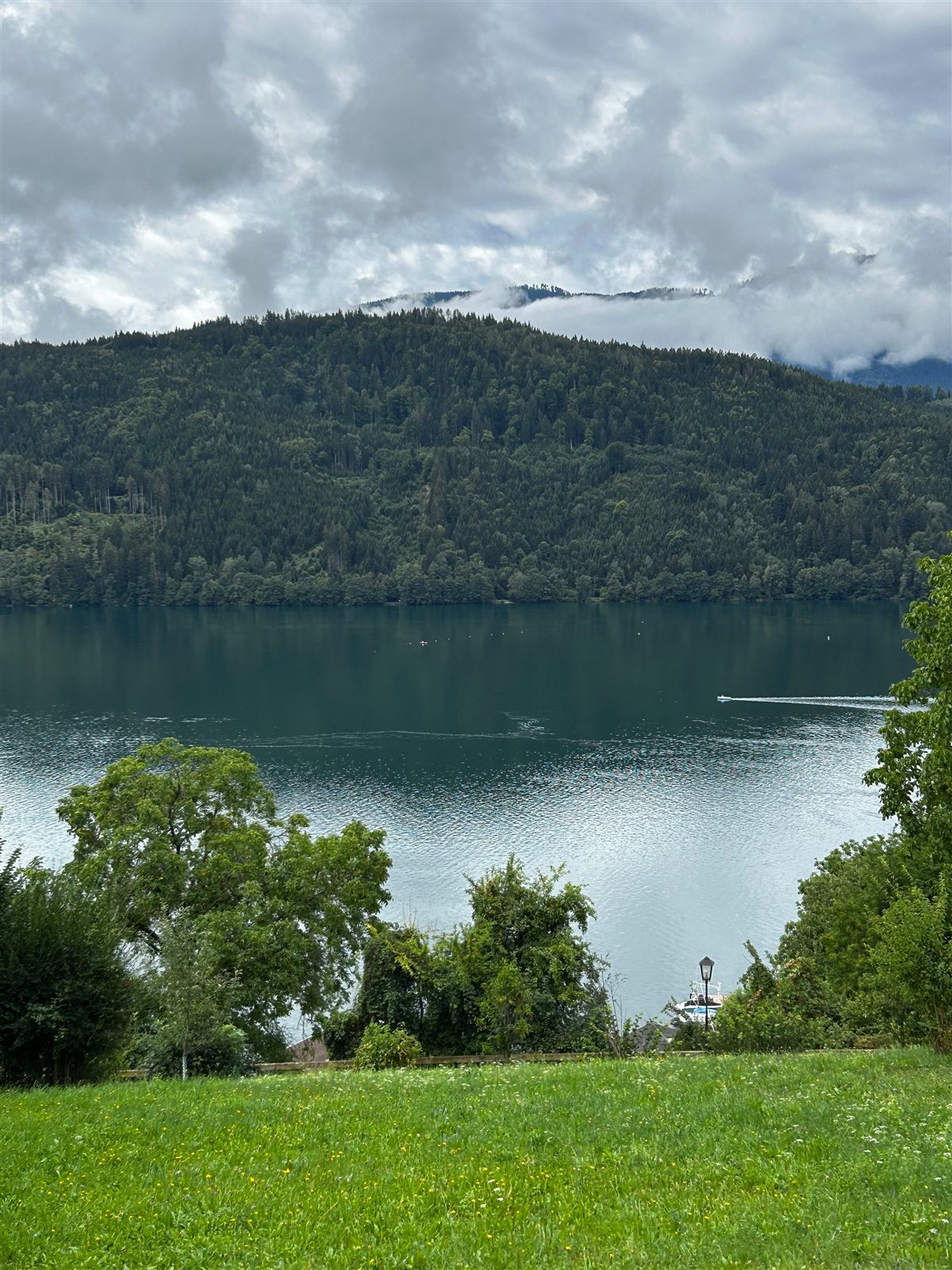Wiese und See