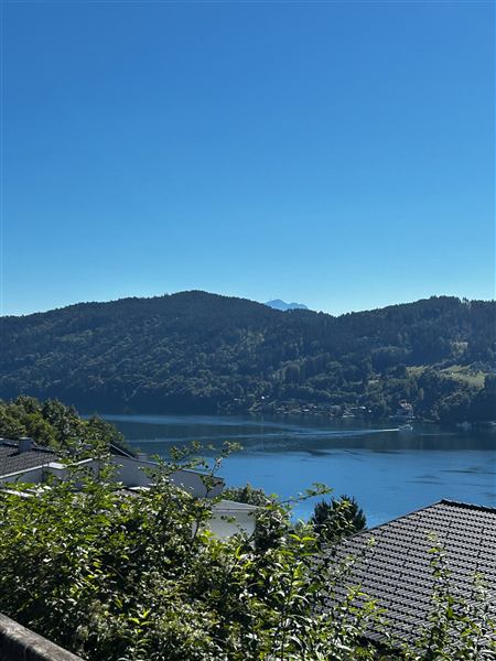 Blick vom Haus auf den See