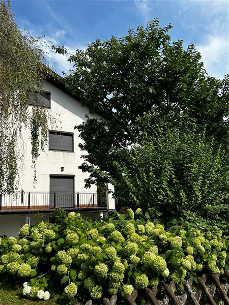 Haus mit blühenden Hortensien