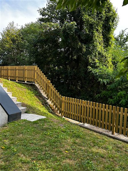Garten mit Holzzaun und Stiegen