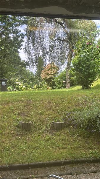 Blick aus dem Fenster in den Garten