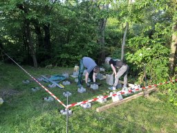 Arbeiten 31.05.2019