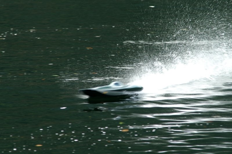 Lunz 2005