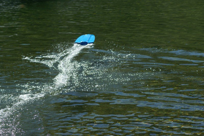 Lunz 2006