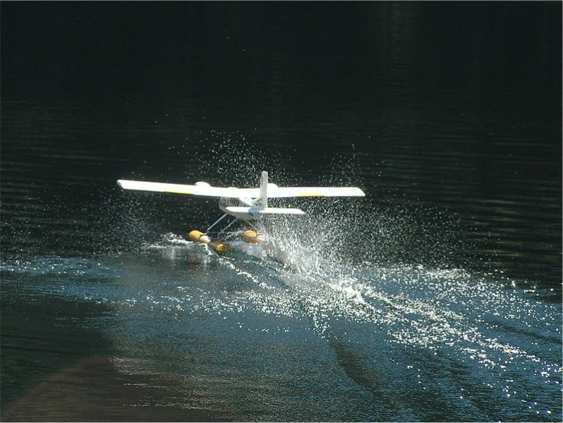 Lunz 2006