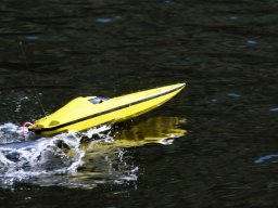 Lunz 2006