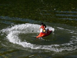 Lunz 2006