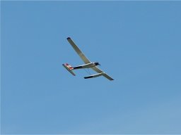 Lunz 2006
